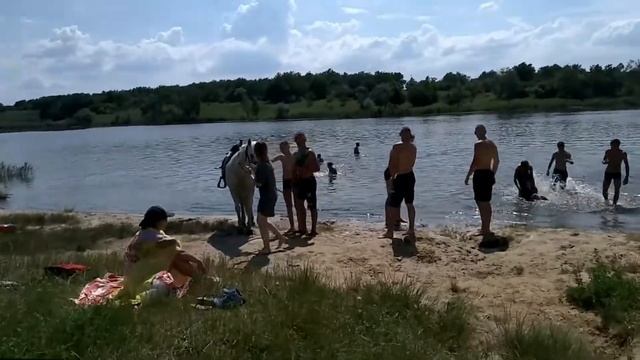 Лошадка на первом ставке смотреть онлайн