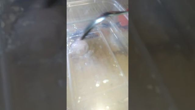 cara membuat slime dari lem glue dan activator so klin liquid смотреть онлайн