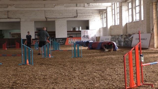 Первенство РКФ 24-25.06.17(15) смотреть онлайн
