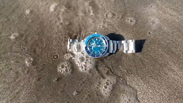 Amphibia Scuba Dude Playa Cavancha Iquique Chile 17/11/2017 смотреть онлайн