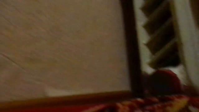 Один день из жизни четвероногих друзей/2 серия смотреть онлайн