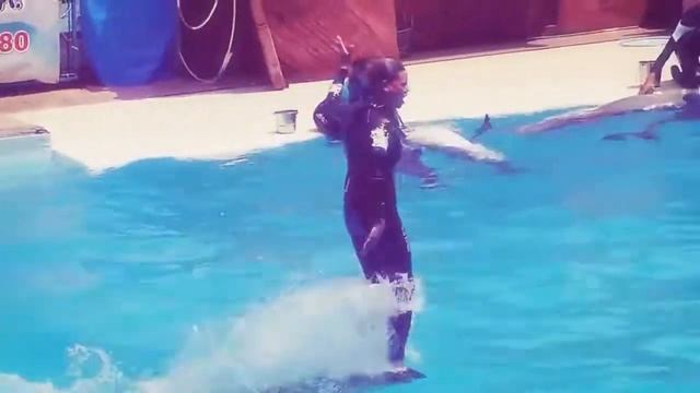 Ялтинский дельфинарий смотреть онлайн