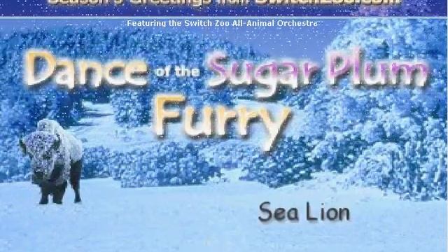 Dance Of The Sugar Plum Furry смотреть онлайн