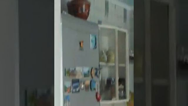 Сима достает оленя смотреть онлайн