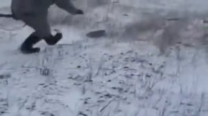 Прикольная охота. Случаи на охоте