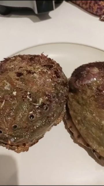 giant oyster смотреть онлайн