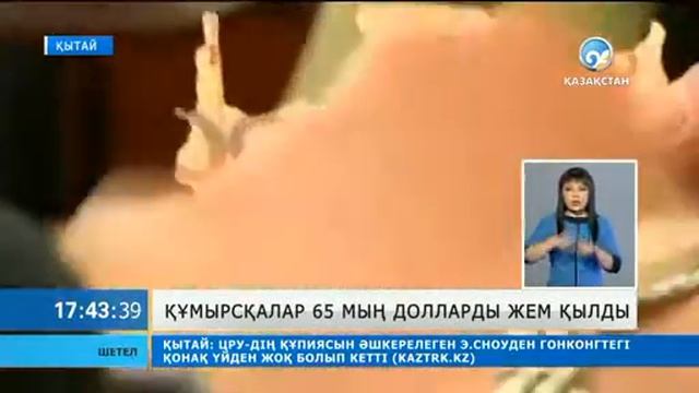 Құмырсқалар 65 мың долларды жем қылды смотреть онлайн