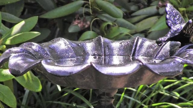 Mosquito bite protection video from the Tennessee Department of Health смотреть онлайн