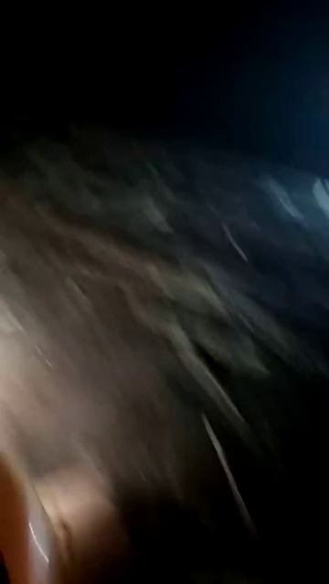 Нароботи лиса острова смотреть онлайн