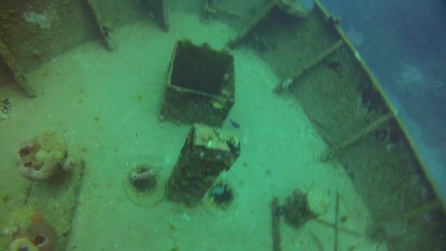 Shipwreck Bearded Fireworm смотреть онлайн