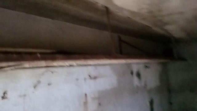 лето 100 лев смотреть онлайн