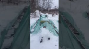 Решение проблемы. Вредители на пасеке часть 2 Что делать, когда на пасеку нападает дятел или синицы