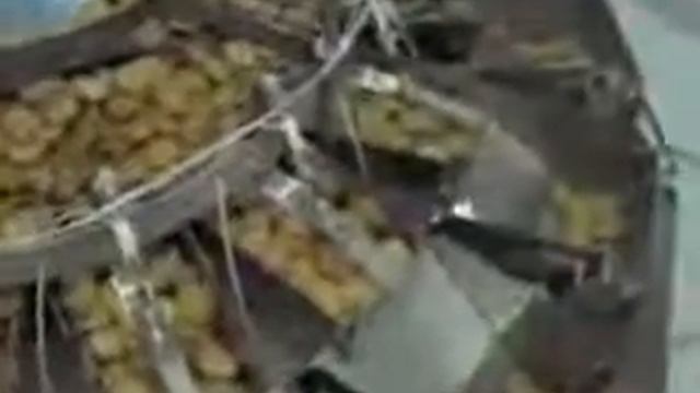 Упаковка хрупких продуктов (печенье, пряники,.mp4 (gxv7ggqg... смотреть онлайн
