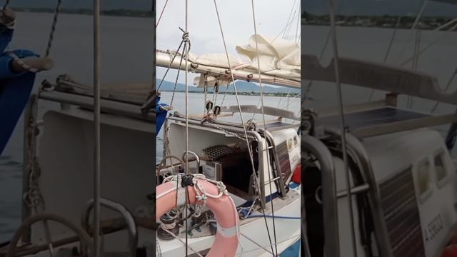 Canace Kings-Lynn Tiba di Maumere смотреть онлайн