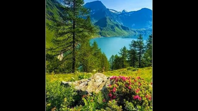 Первая осень любви от ТАТЬЯНОЧКИ.) (д) смотреть онлайн