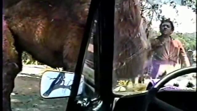 Visita Simba Safari e Zoológico Parte 01 смотреть онлайн
