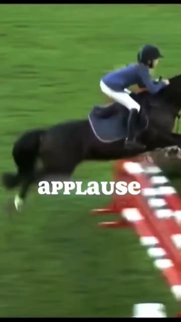 ✨I live for the applause✨ смотреть онлайн