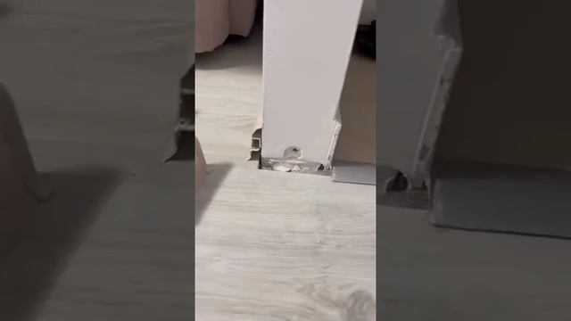 Ожереловый попугай - зеленый проказник смотреть онлайн
