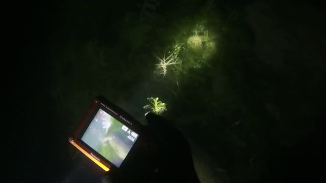 イワトコナマズ смотреть онлайн