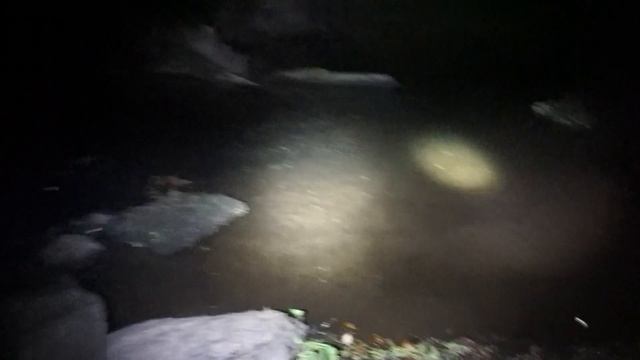 Baby Snake Season and Alligator Snapping Turtle!! смотреть онлайн