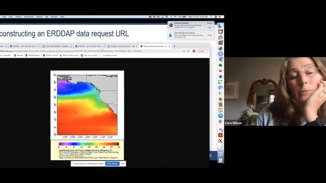 SatMOC Virtual Training meeting July 28 - Cara Wilson, NOAA смотреть онлайн