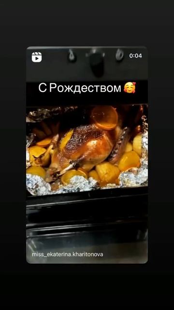Рождественский гусь 🥰 смотреть онлайн