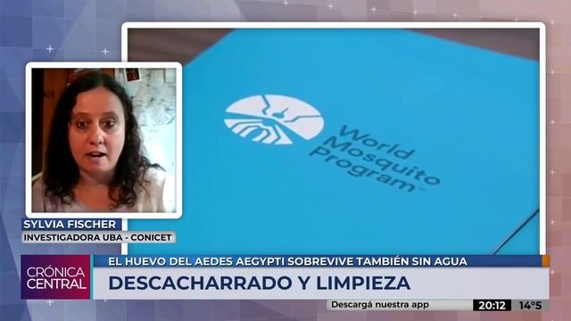 El huevo del Aedes Aegypti soporta la sequía смотреть онлайн