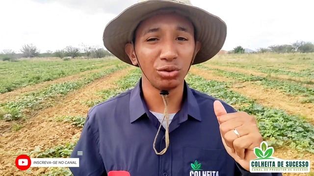 TUDO sobre o curso produção de melancia premium - Com Prof. Caio Santos смотреть онлайн