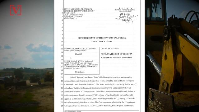 Couple Fined Nearly $600,000 for Uprooting 180-Year-Old Oak Tree смотреть онлайн