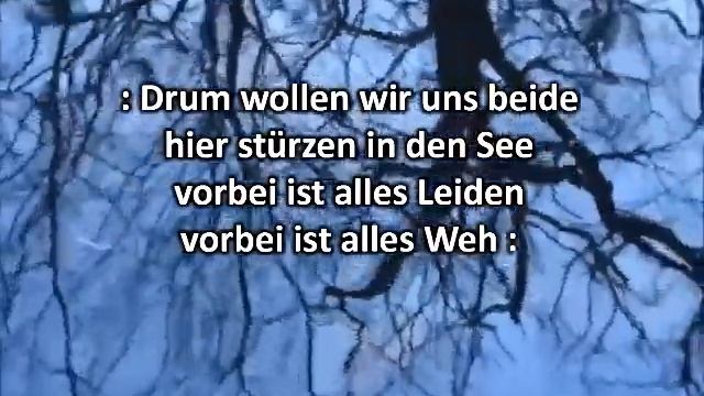 Mariechen saß weinend im Garten - Moritatenliedersinggruppe NN смотреть онлайн