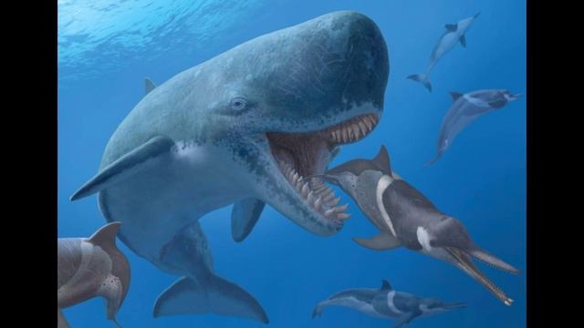 History of the Megalodon - Documentary смотреть онлайн