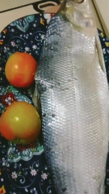 Milk Fish#satisfying #trendingshorts #yummy #milkfish@rakishibabesheart9655 смотреть онлайн