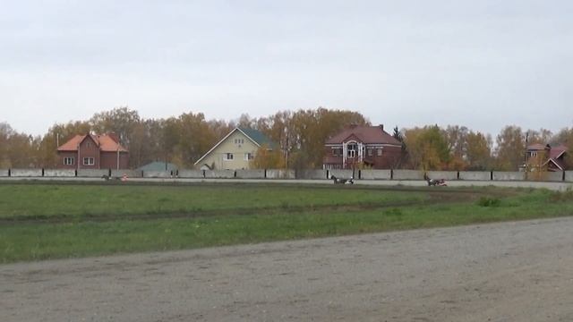 07. 10. 2023 Заезд №08 смотреть онлайн