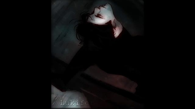 真的没喝多 B2S & Koala