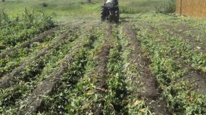 Самодельный ботвоудалитель!