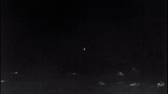 Лоси и Зайцы смотреть онлайн
