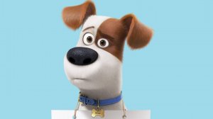 58996Тайная жизнь домашних животных 2 (2019) — Русский трейлер