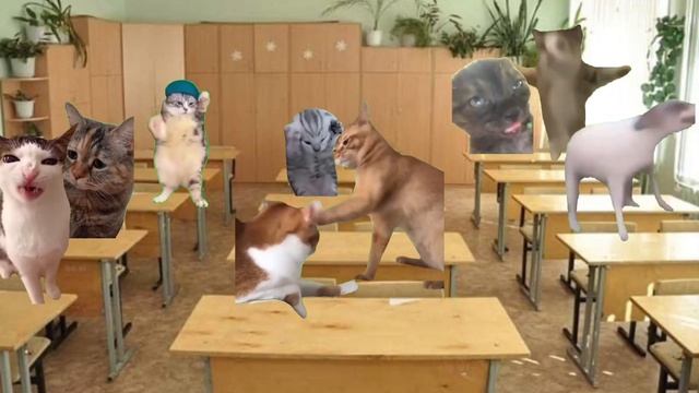 добавь себя! смотреть онлайн