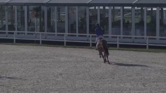 FREE STYLER - Arina Abramovich - Bronze 1 - Valencia (01.11.2014) смотреть онлайн