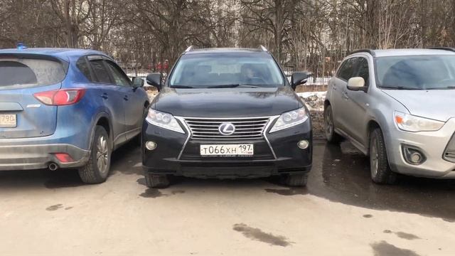 Незаконная платная парковка на ООПТ ЛЗ Теплый Стан, как всегда, забита. смотреть онлайн