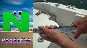 ABC Sea Animals song | Learn Alphabets | English and Animals for Kids | Alphabets Kids Song