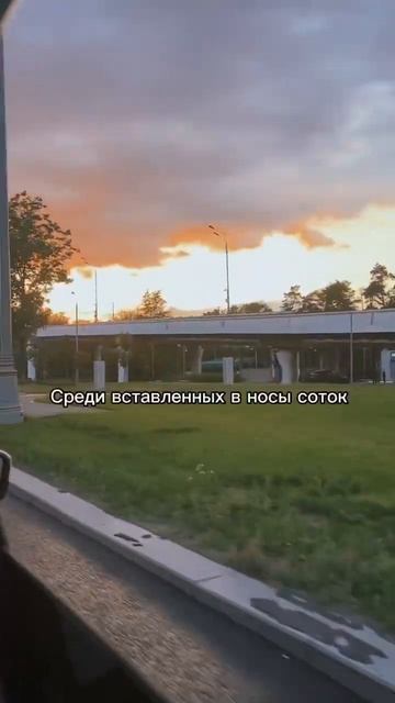 Экзотика, романтика смотреть онлайн