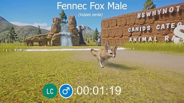 Canids Category Speed Races in Planet Zoo in 4K UHD including Wild dog, Fennec Fox etc смотреть онлайн