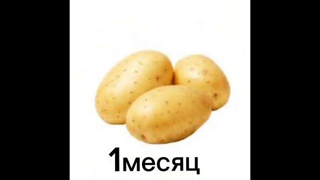 Лобанов 3DD смотреть онлайн