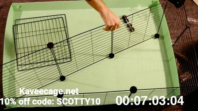 Kavee C&C Cage Timed Set-Up смотреть онлайн