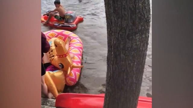 Сборник смешных видео😂 смотреть онлайн