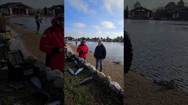 Ловим на спиннинг зимой в январе - Отзыв о зимней рыбалке клуб Ихтиолог смотреть онлайн