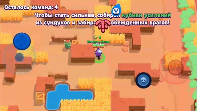 osa osa смотреть онлайн