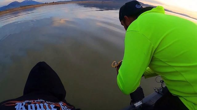 (INSANE) CHEAP AMAZON Fishing Slingshot (Giant Carp!!) смотреть онлайн