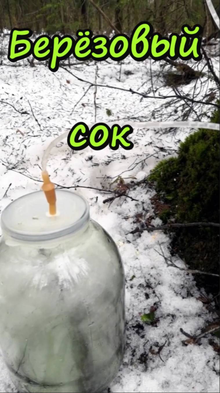 Березовый сок смотреть онлайн